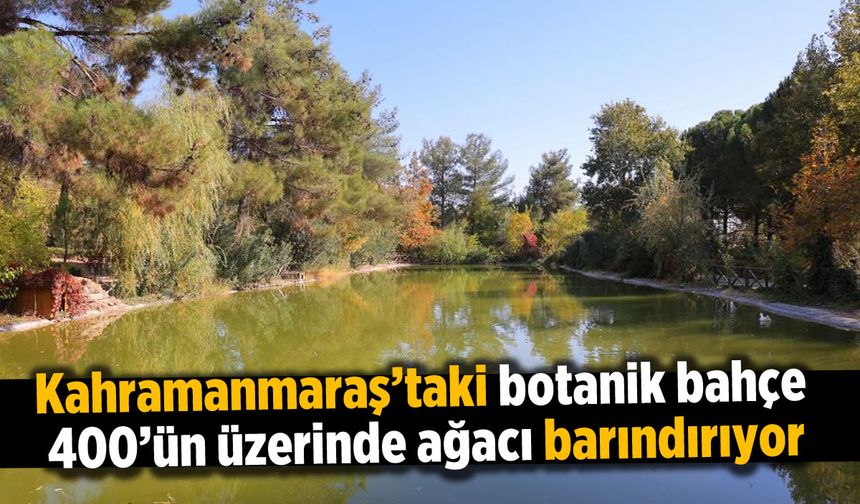 Kahramanmaraş’taki botanik bahçe renk cümbüşüyle görsel şölen sunuyor