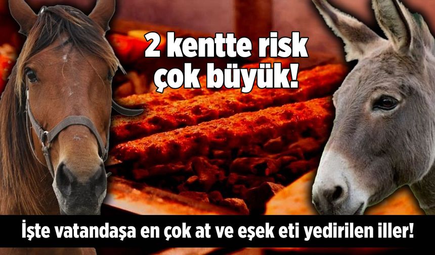 2 kentte risk çok büyük! İşte vatandaşa en çok at ve eşek eti yedirilen iller!