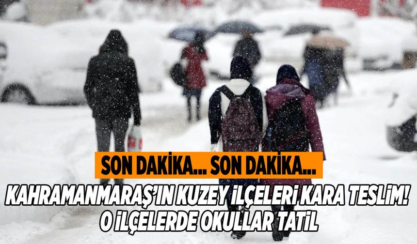 Kahramanmaraş’ın Kuzey İlçeleri Kara Teslim! O İlçelerde Okullar Tatil