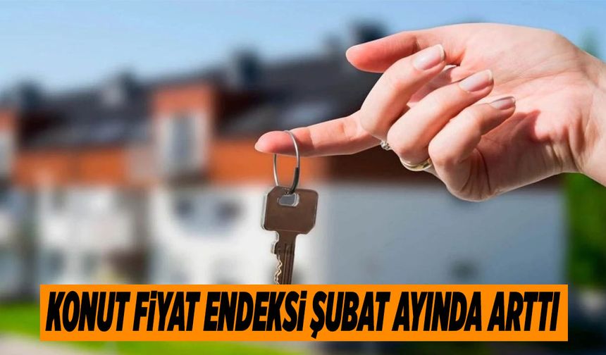 Konut Fiyat Endeksi Şubat Ayında Arttı