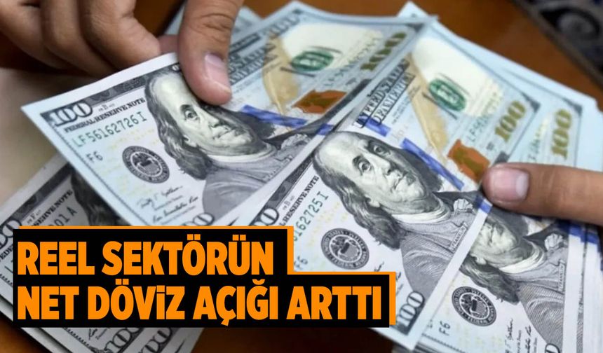 Reel Sektörün Net Döviz Açığı Arttı
