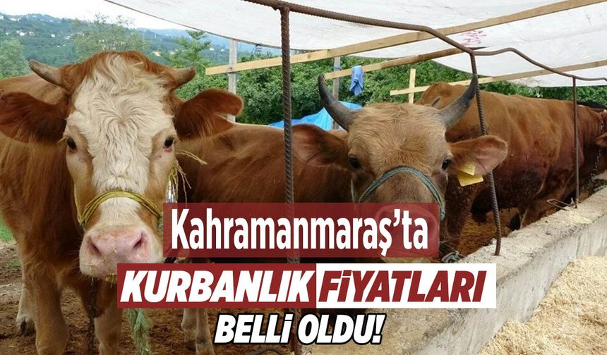 Kahramanmaraş'ta 2025 Yılı Kurbanlık Fiyatları Belli Oldu
