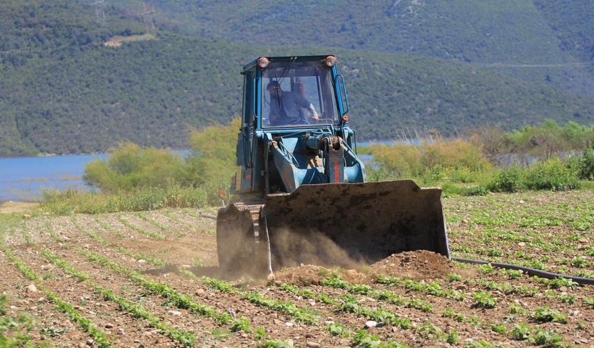 Devlet "Ekin" Diyor, DSİ Ekili Alanları Düzlüyor: Çiftçiler Çelişkiden Şikâyetçi