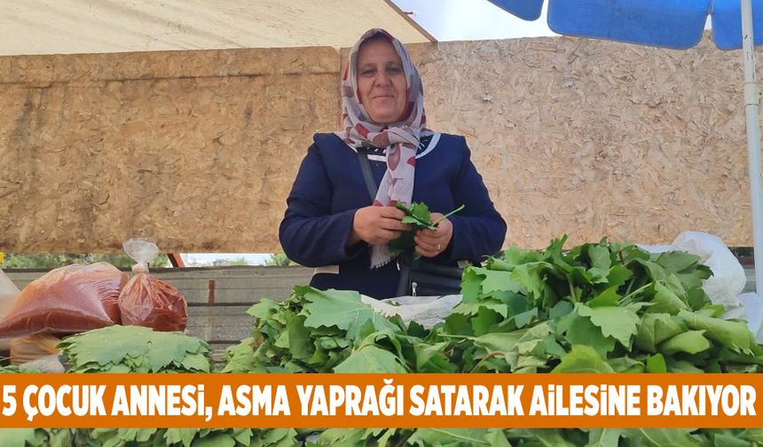 5 çocuk annesi, asma yaprağı satarak ailesine bakıyor