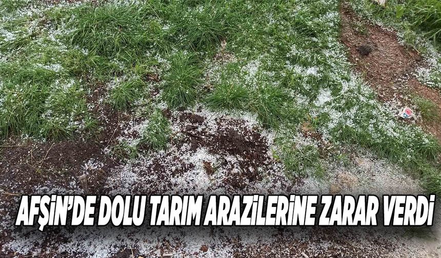 Afşin’de Dolu Tarım Arazilerine Zarar Verdi