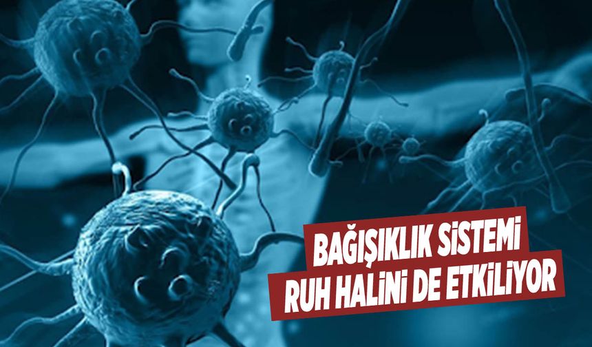 Bağışıklık Sistemi, Ruh Halini De Etkiliyor