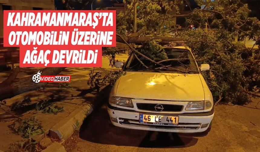 Kahramanmaraş’ta Otomobilin Üzerine Ağaç Devrildi