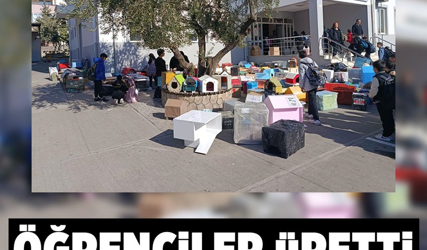 Öğrenciler üretti sokak kedileri kazandı