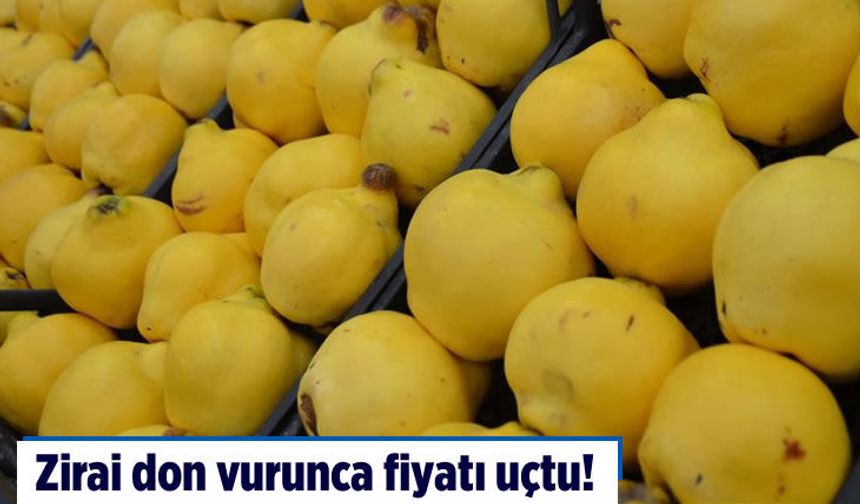 Kapış kapış satılıyordu, şimdi yok denecek kadar az! Zirai don vurunca fiyatı uçtu