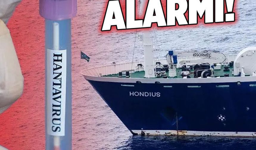 Hantavirüs alarmı! Üç Türk vatandaşı, İstanbul'da karantina altında