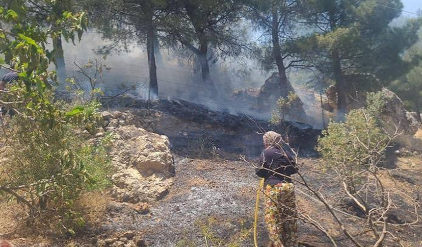 Ahır Dağı’nda yangın alarmı: Helikopter ve arazözler sevk edildi
