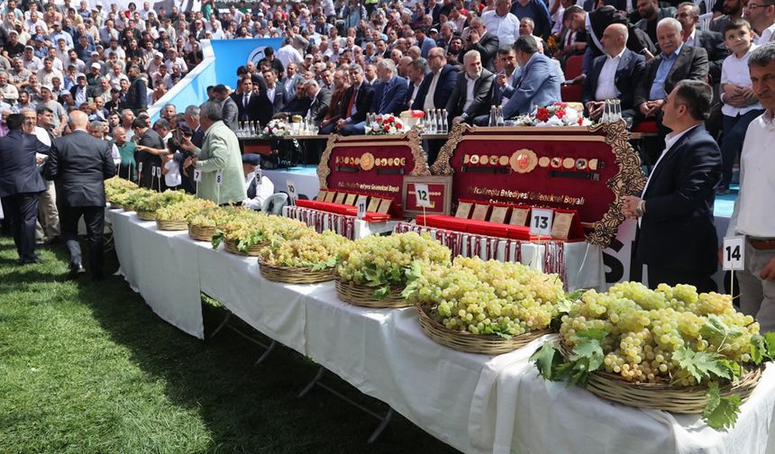 Bertiz Boyalı Güreş Festivali 30. kez düzenlenecek