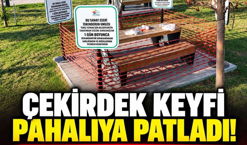 Çekirdek keyfi pahalıya patladı! Kabukları yere atınca 8 bin 687 TL ceza yedi