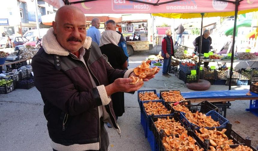Lezzet uğruna canınızdan olmayın: Türkiye’de 10 mantar türü ölüm saçıyor