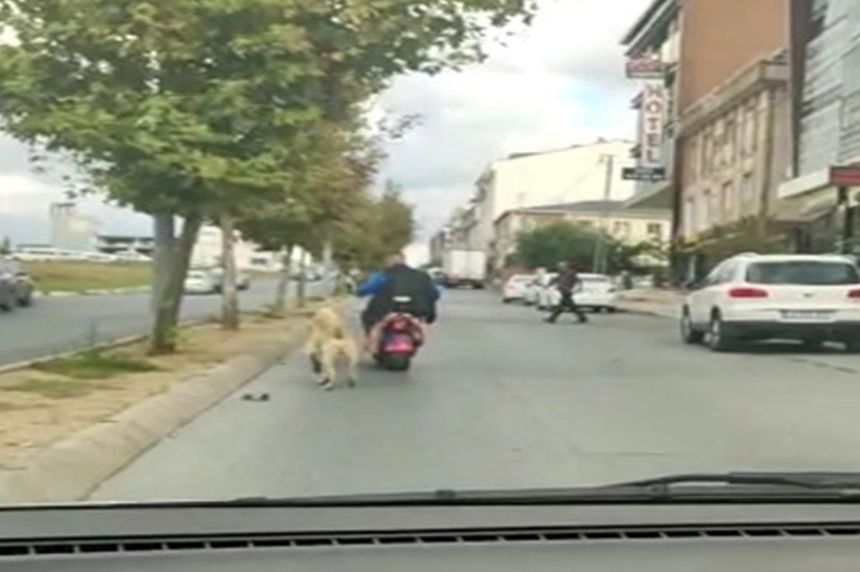 Köpeği motosiklete bağlayıp sürükledi: "Ben sizden daha hayvanseverim"