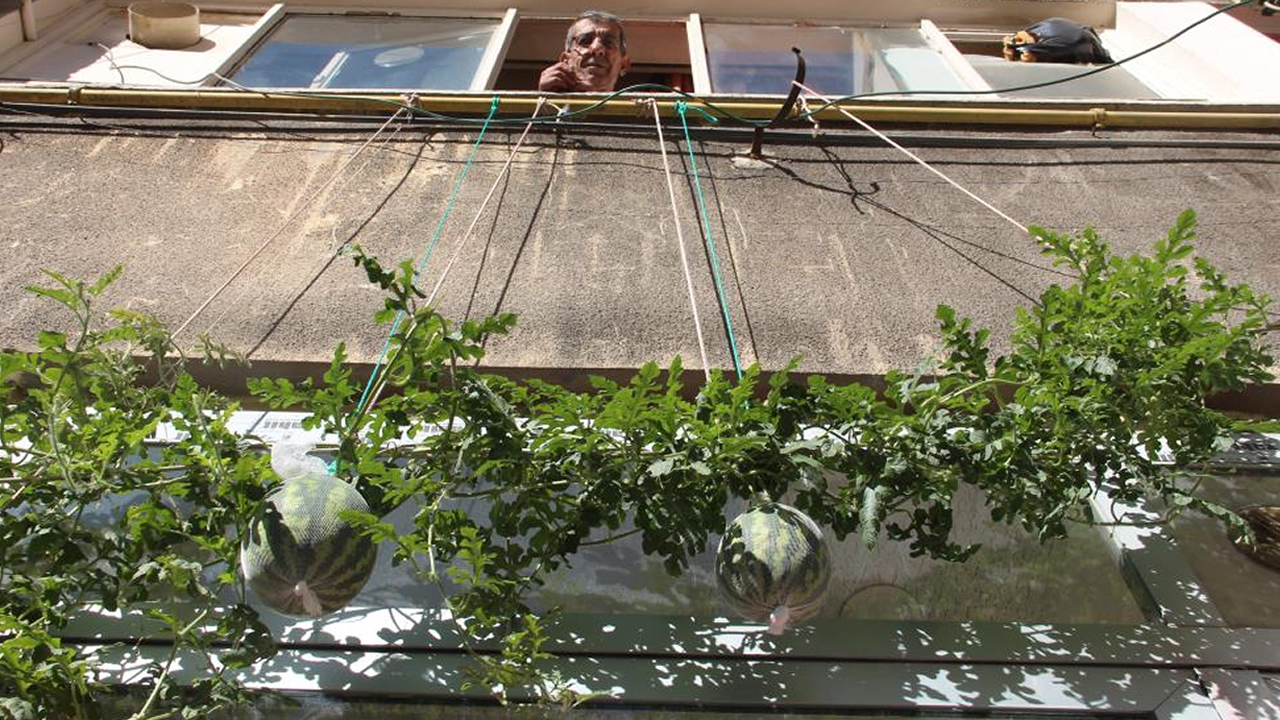 Görenlerin gözleri fal taşı gibi açılıyor! Beton yapıların arasında Görenlerin gözleri fal taşı gibi açılıyor! Beton yapıların arasında