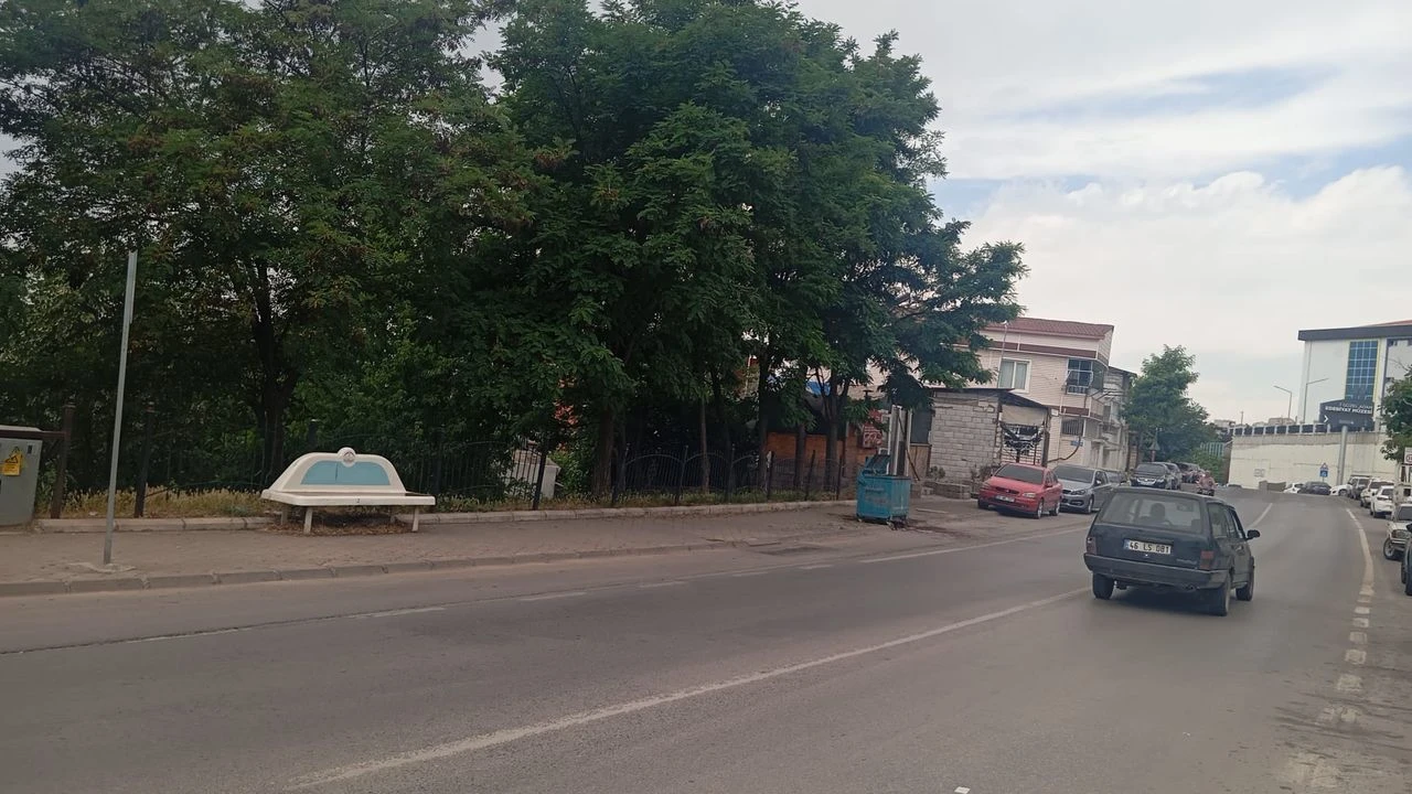 Temizlikiddiasi46 (1)