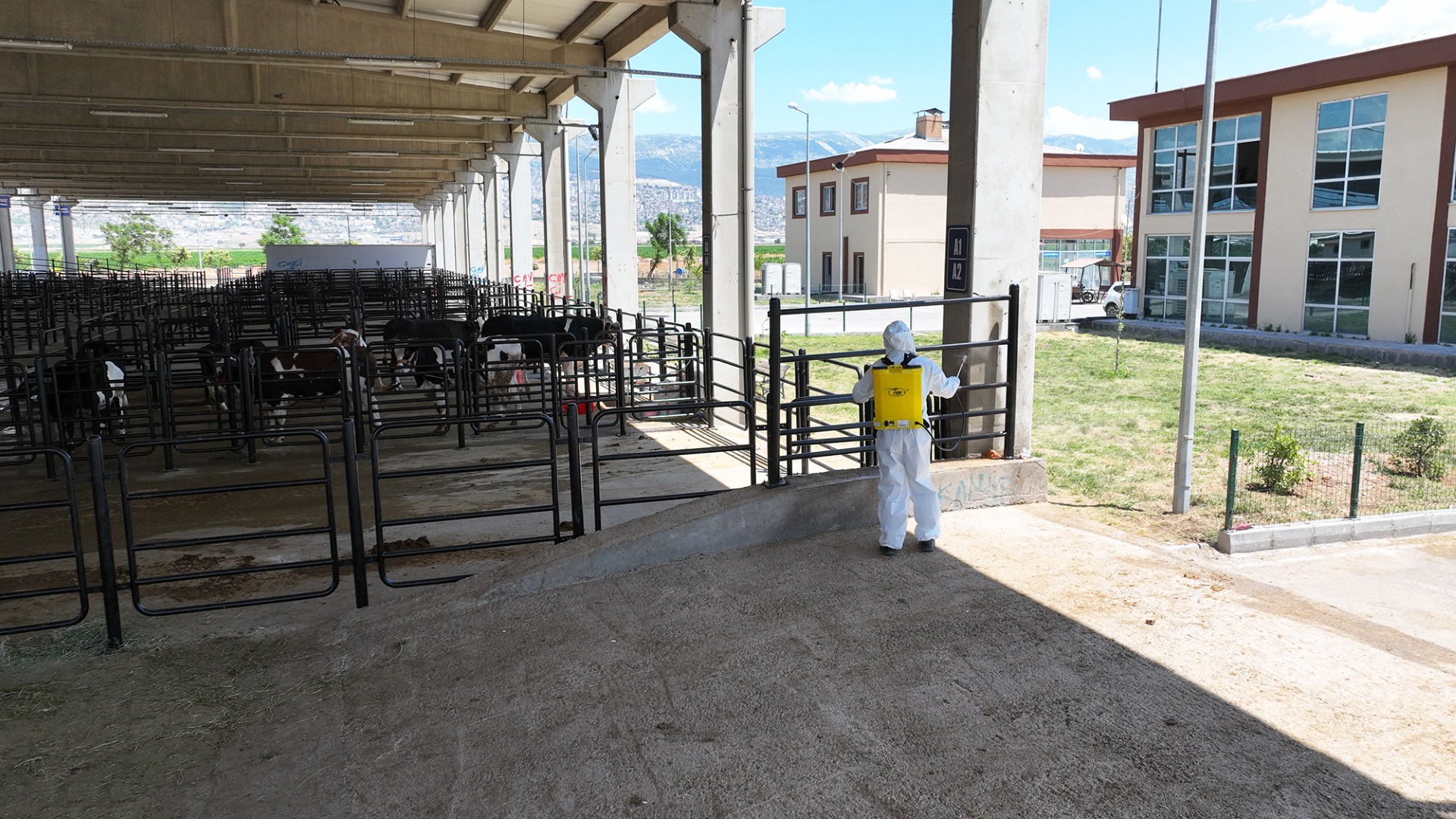 Thumbnail Canlı Hayvan Borsası (1)-1