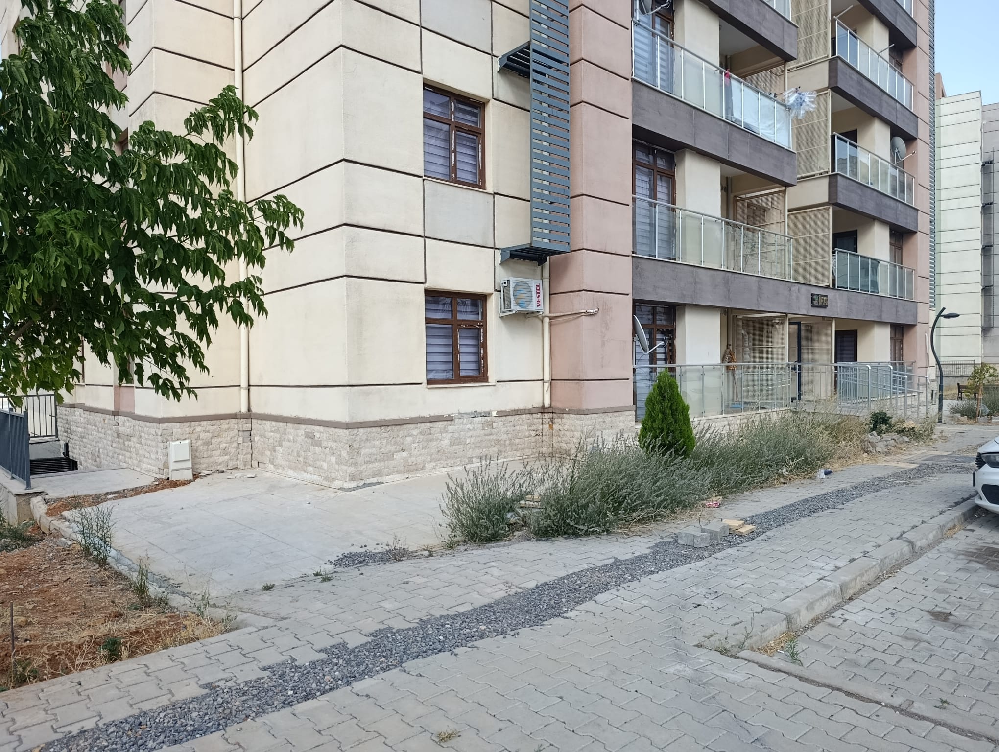 487Bb113 F1E2 4B5E Ad78 A0E941C18C8F