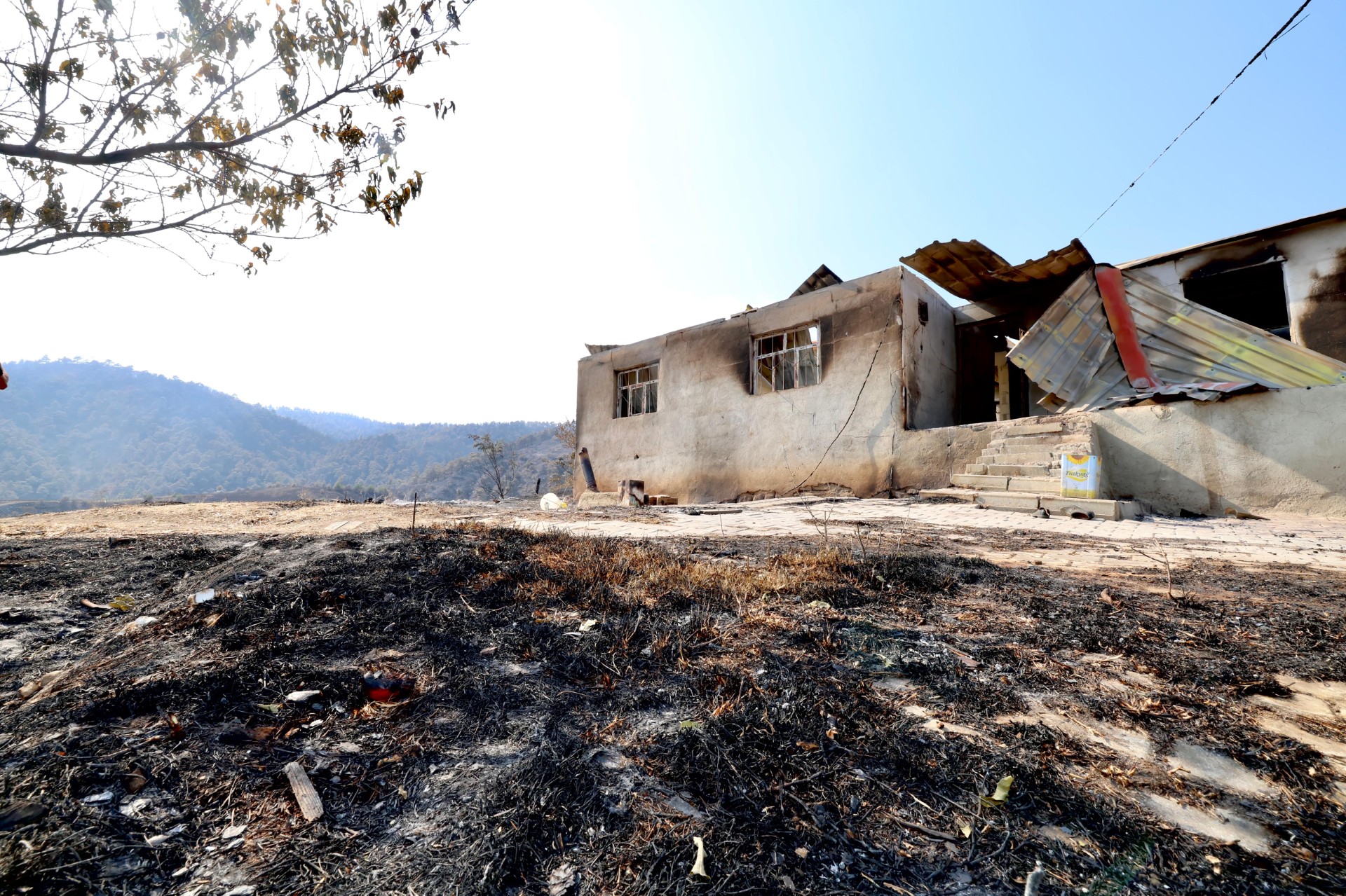 Thumbnail Whatsapp Image 2025 07 29 At 18.02.39 (1)