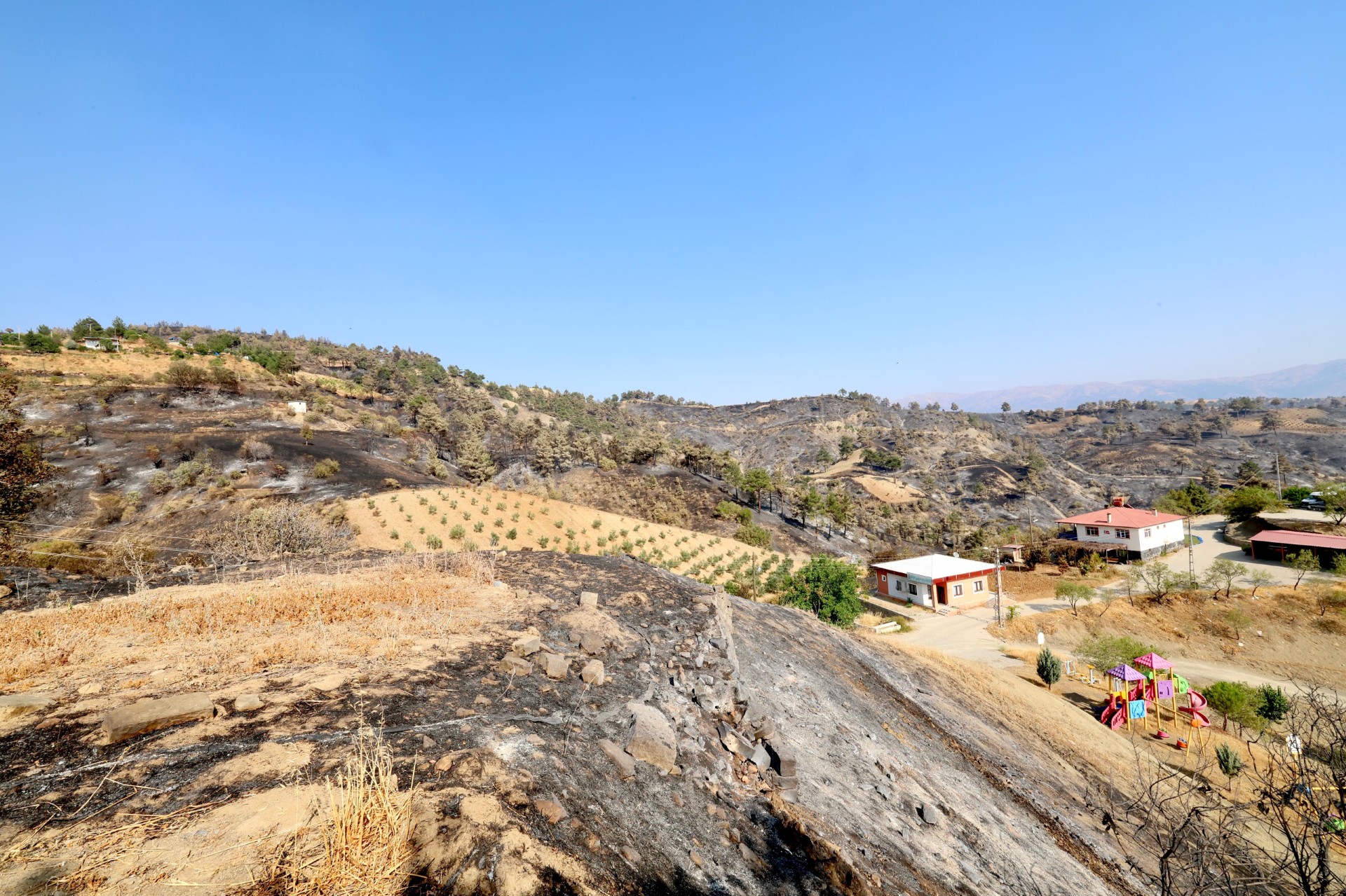 Thumbnail Whatsapp Image 2025 07 29 At 18.02.40