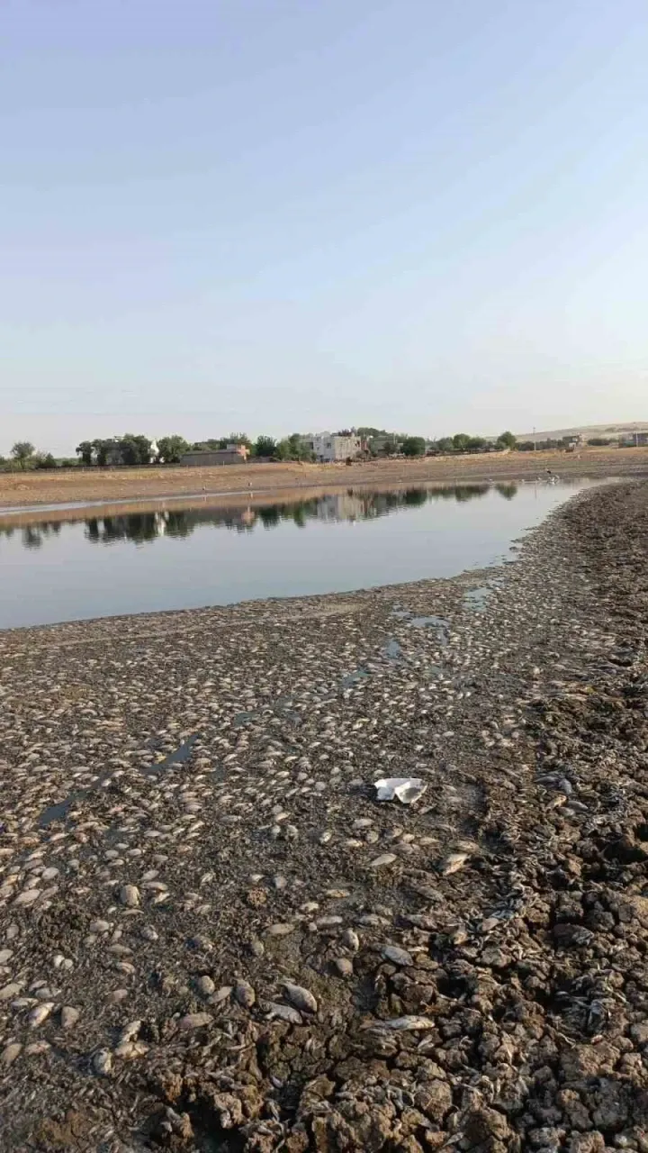 328422208 1754128091