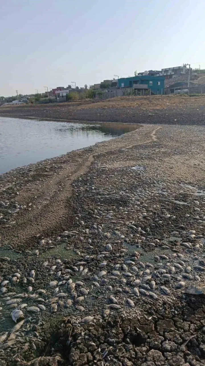 328422210 1754128094