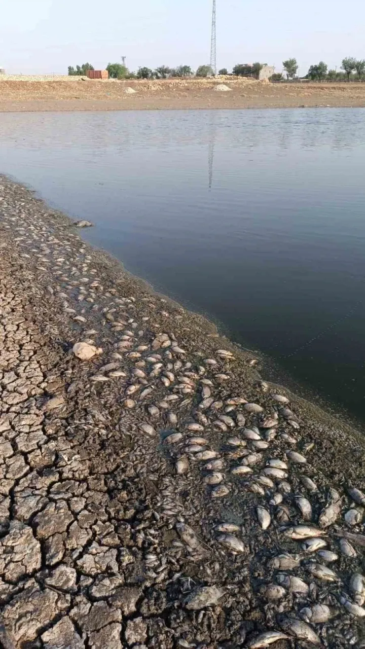 328422211 1754128094