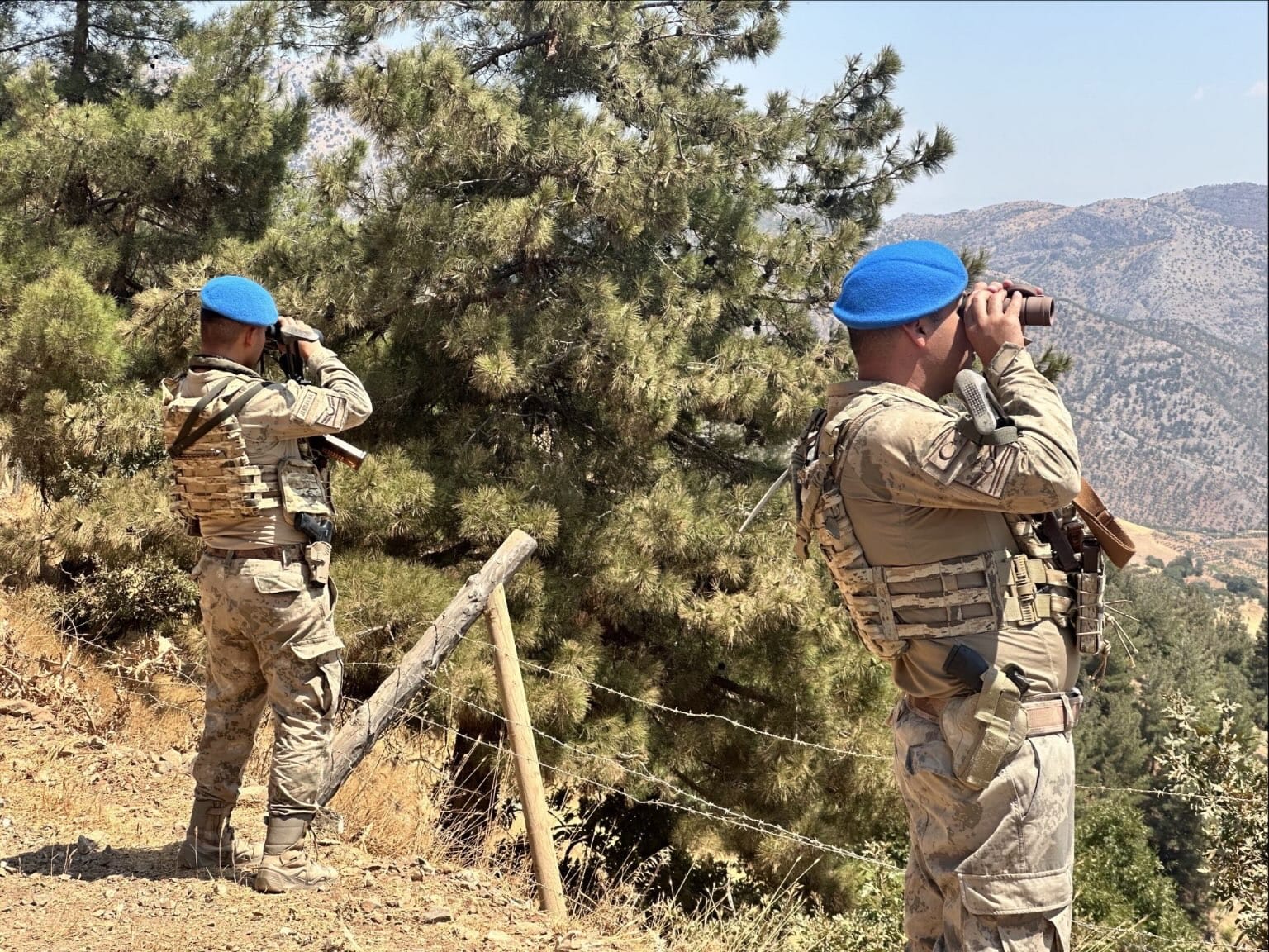 572301C0 161C 43Ea Bf82 Ff2Aab96002F