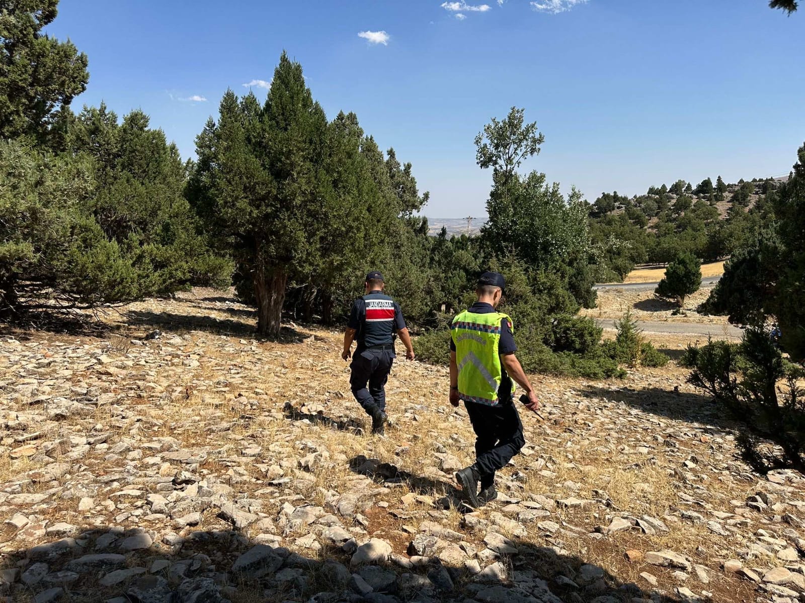 83483B8D 4C2D 4B7D 9F67 0E81Db4A36Ae