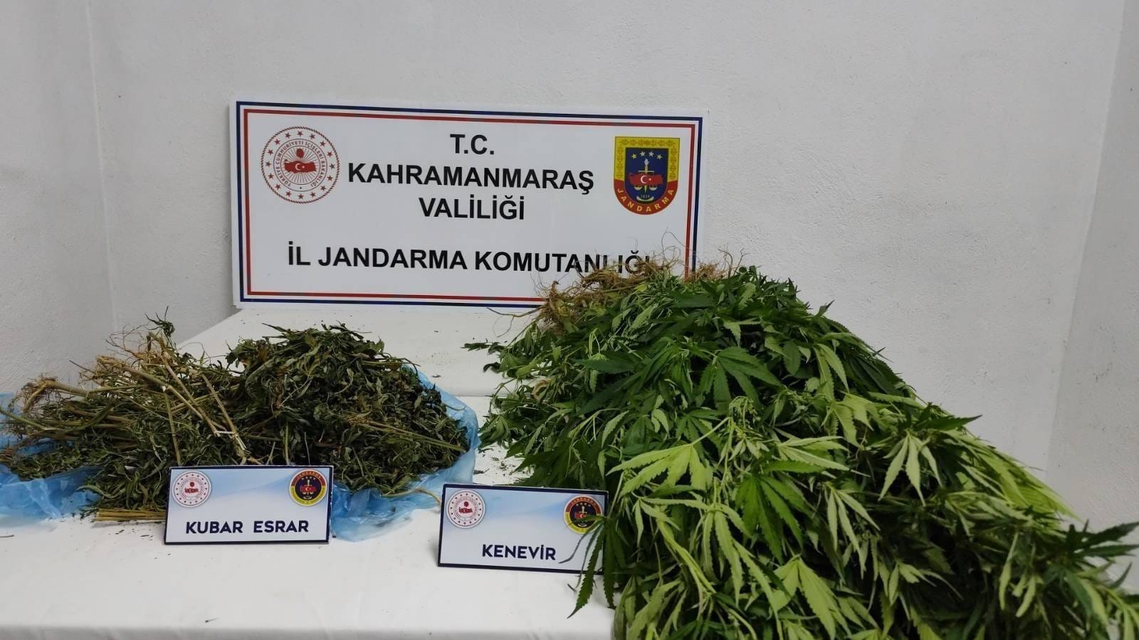 Whatsapp Image 2025 08 27 At 16.11.16