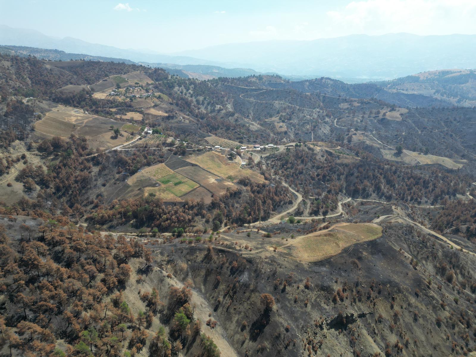 Whatsapp Image 2025 09 05 At 16.00.08