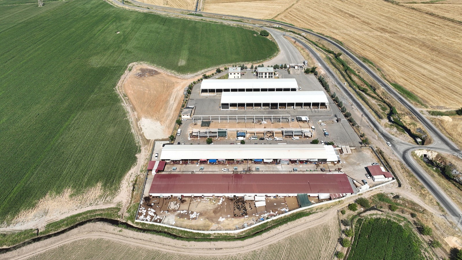 Thumbnail Canlı Hayvan Borsası (3)-1