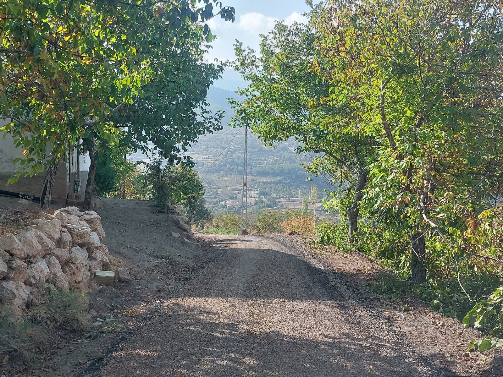 Whatsapp Image 2025 10 30 At 12.18.04 (2)