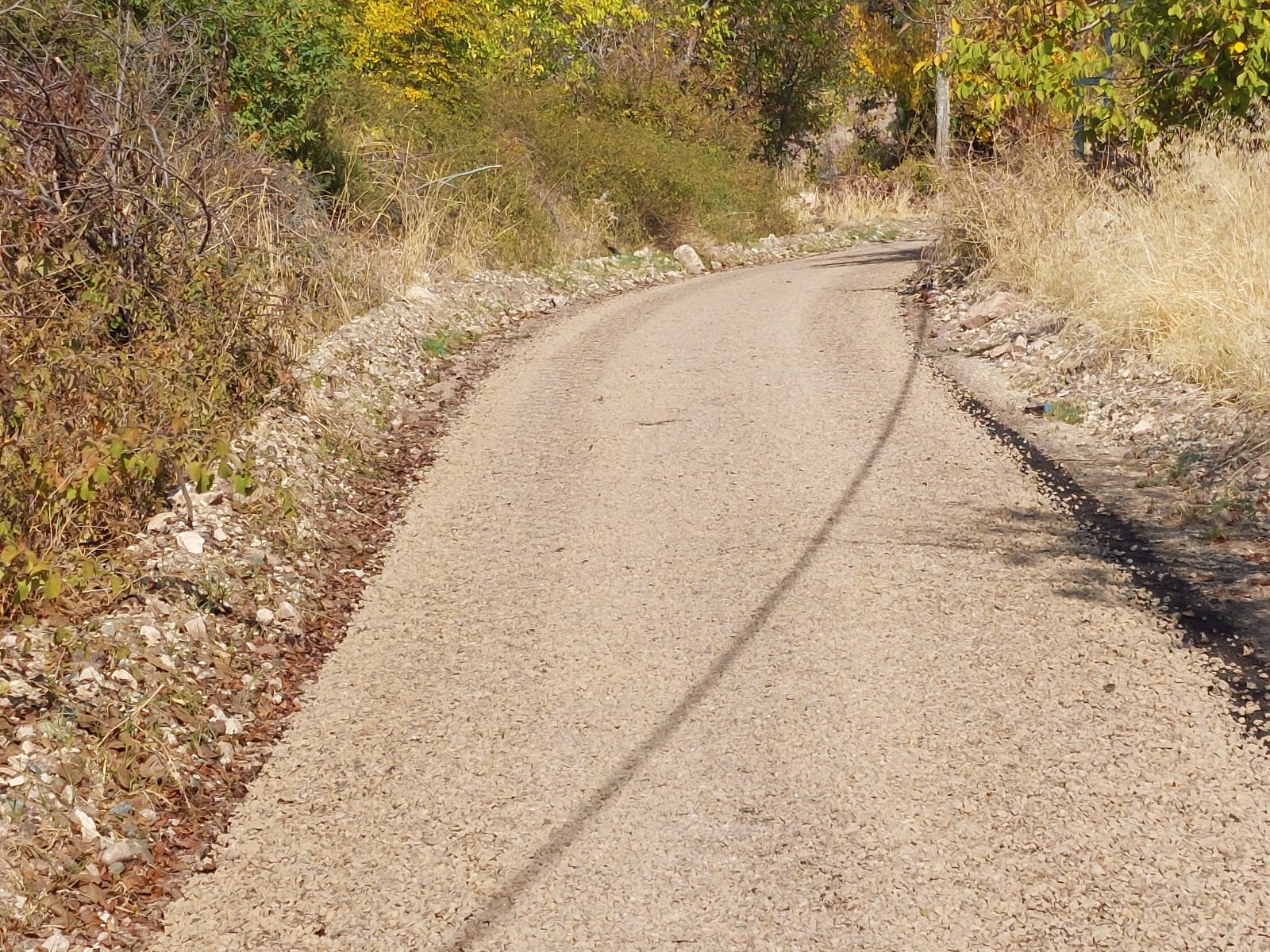 Whatsapp Image 2025 10 30 At 12.18.04 (3)