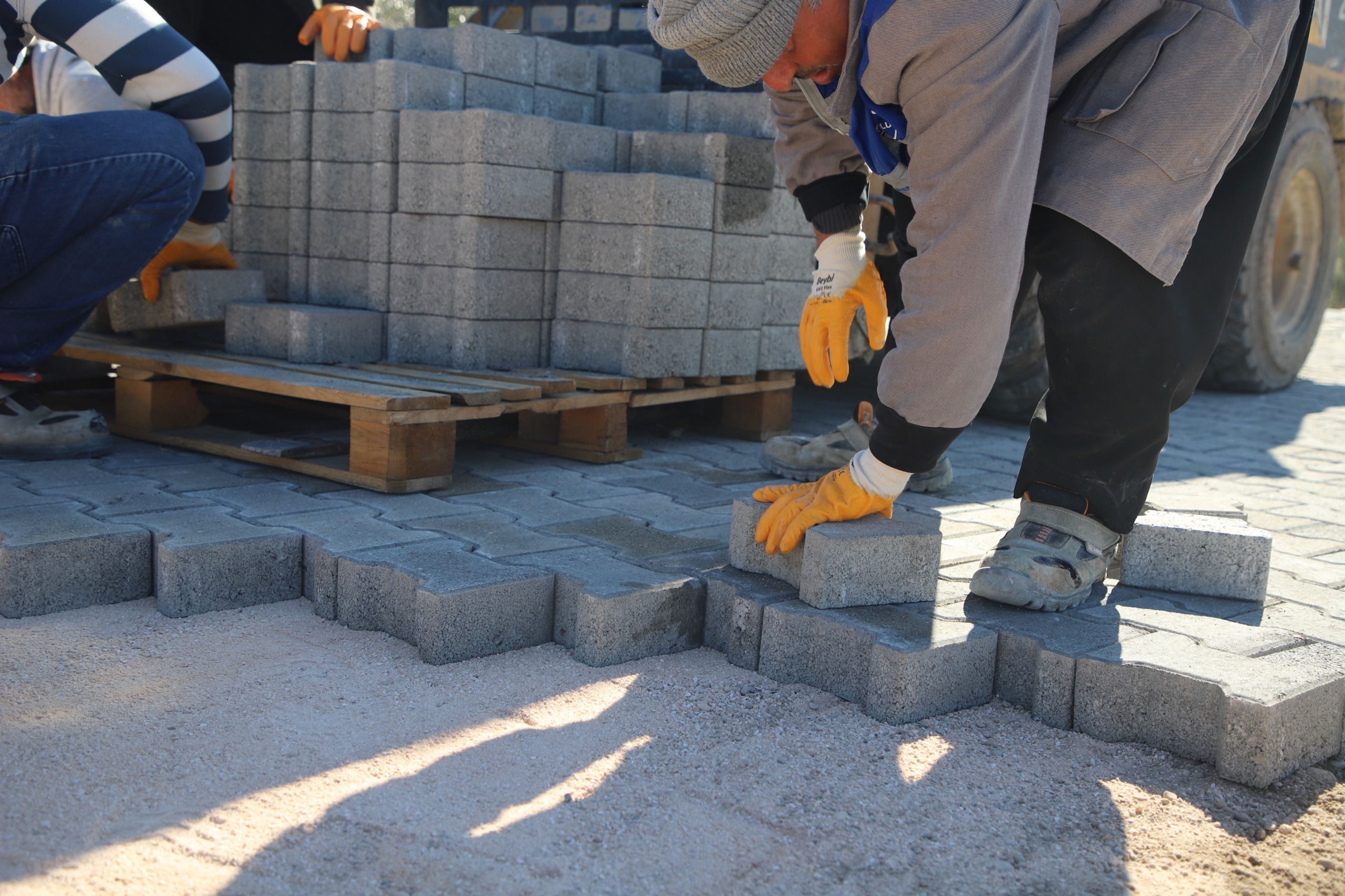 1528A1D6 51C3 42Bd 8055 65F86675A927