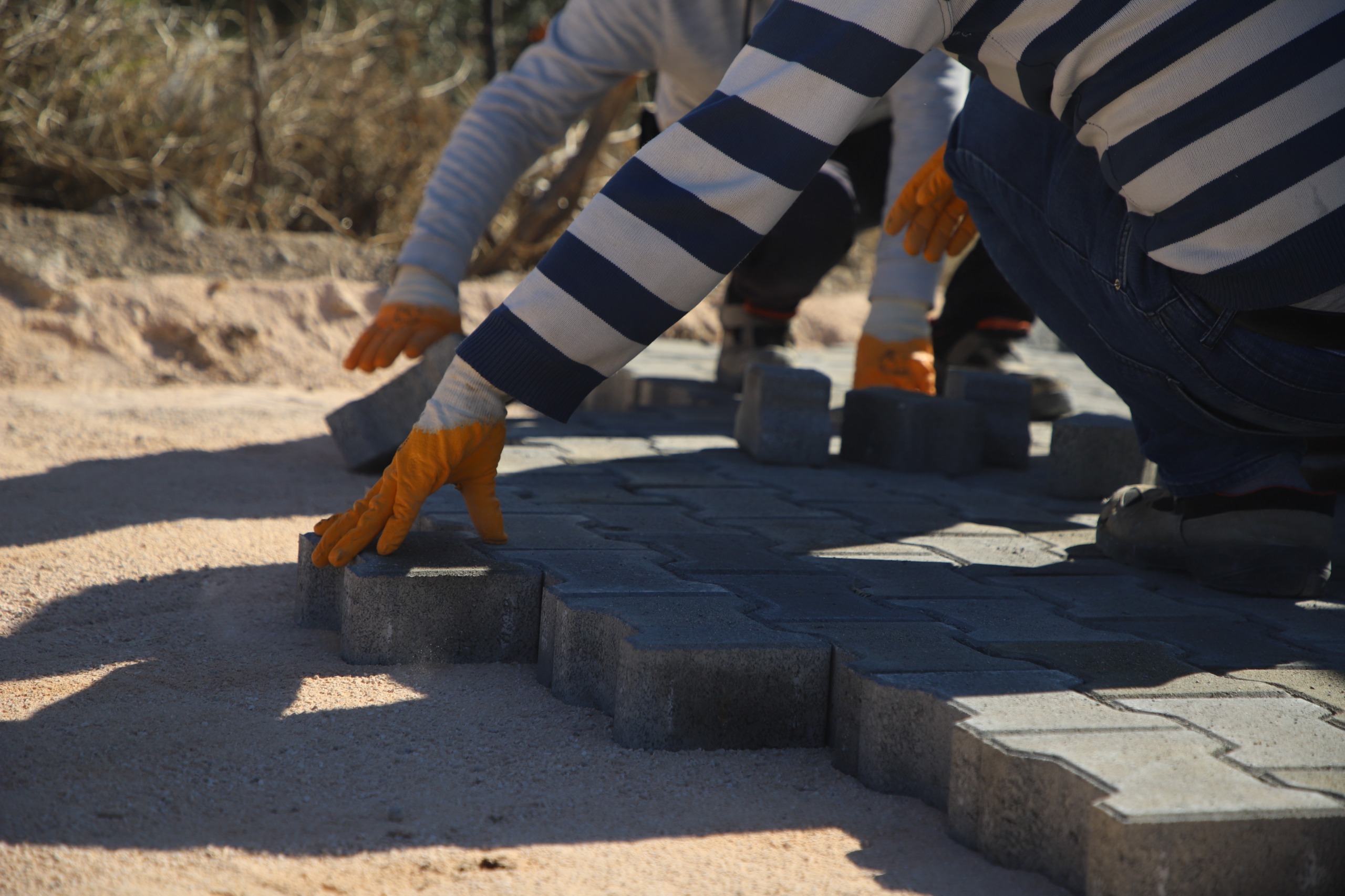 6234E980 C6A4 4C40 Af40 B65D8Fd64894