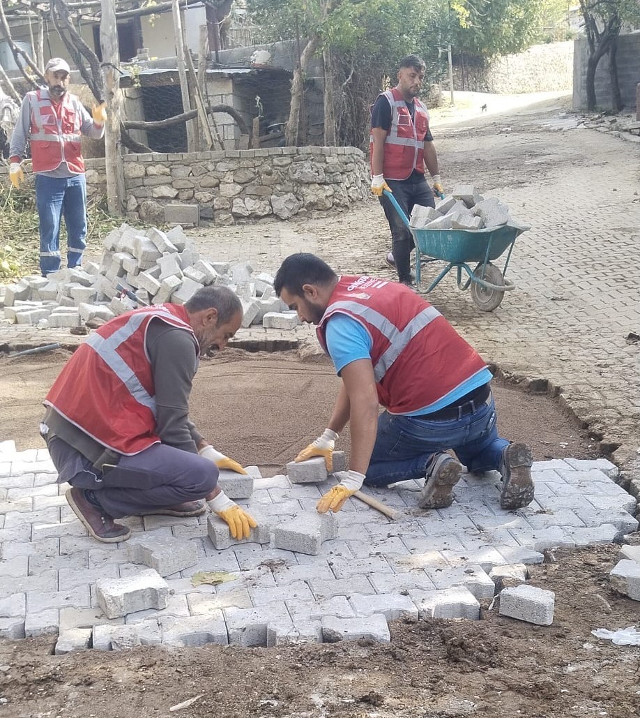 Thumbnail Whatsapp Image 2025 11 07 At 15.22.07