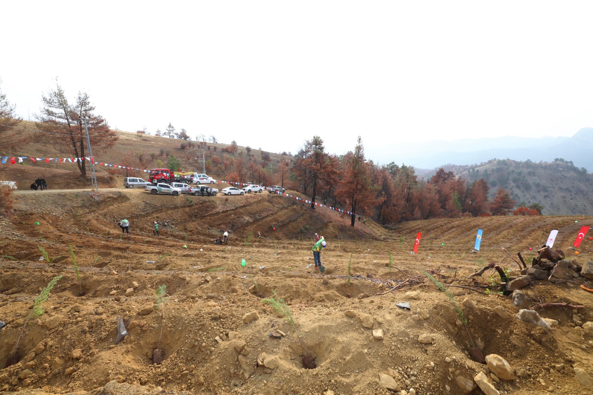 Thumbnail Whatsapp Image 2025 11 11 At 14.03.34 (3)