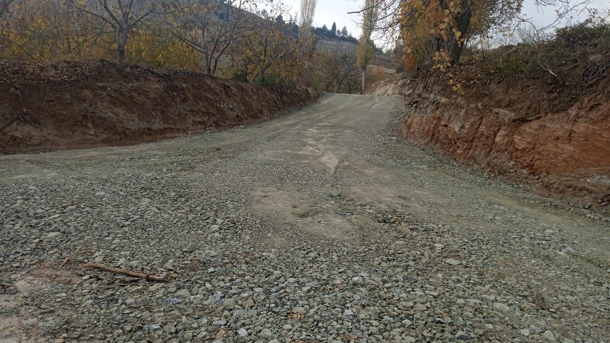 Whatsapp Image 2025 11 26 At 15.01.11 (1)-1