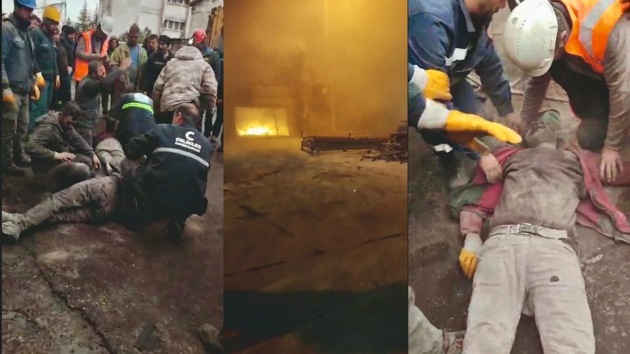 6Fe677Af Edcb 4784 Ac09 E7Ba07D46A0E