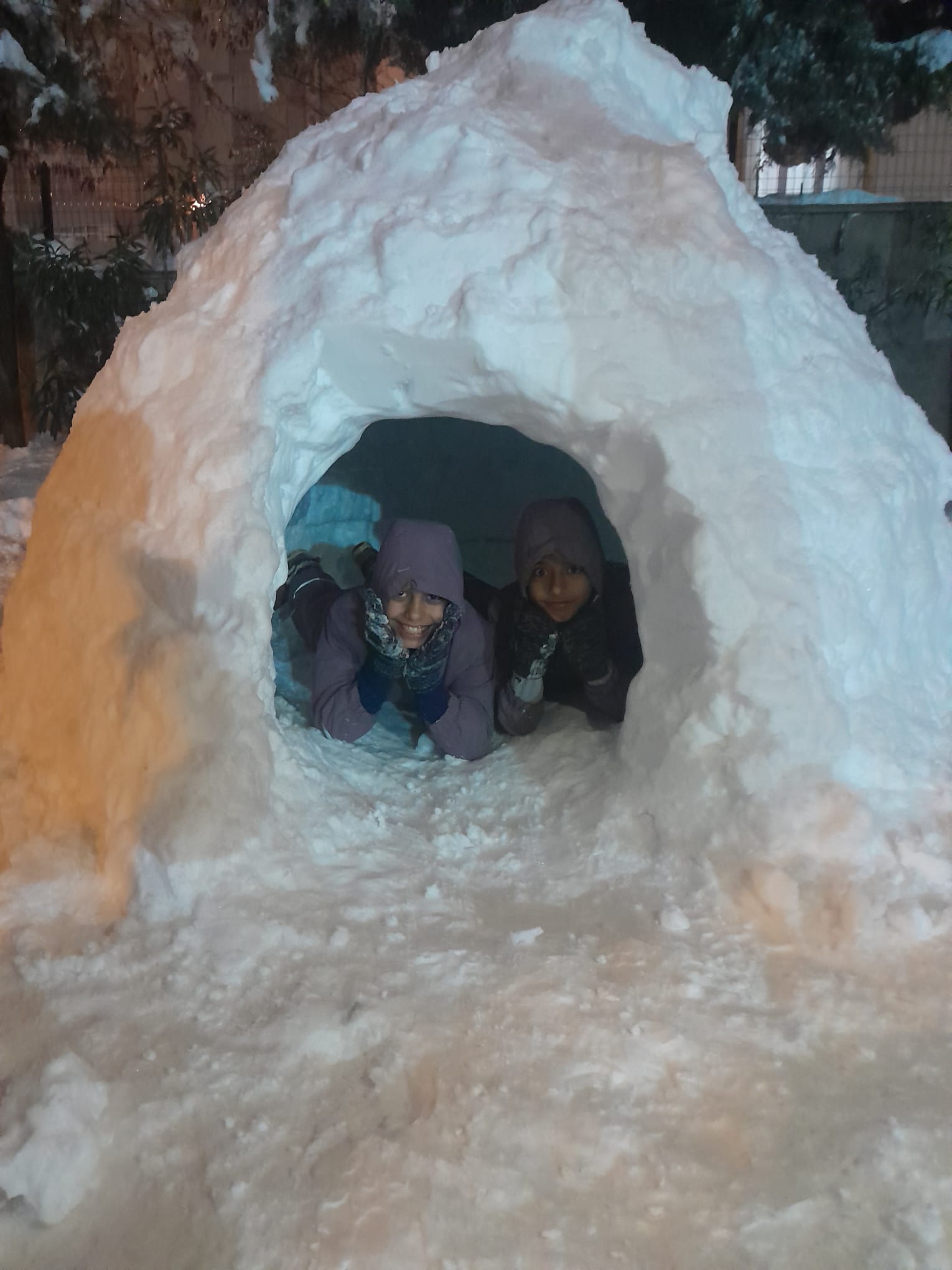 1E70B0D0 D77F 4D19 891D 6Ee8005760E5 (1)