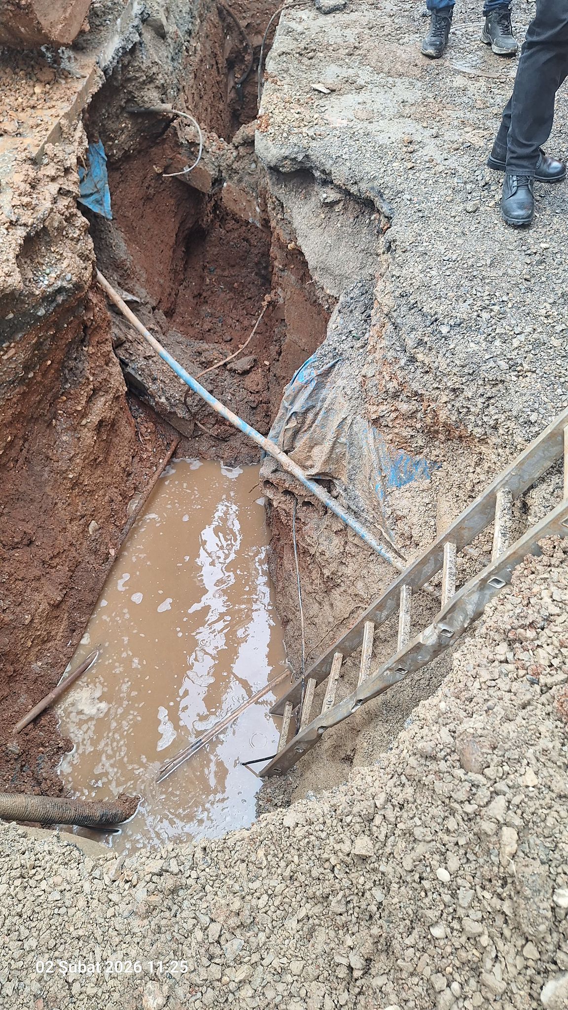 4C1766Ea Bfde 4Fc9 Aa5B D6013193F7Cf