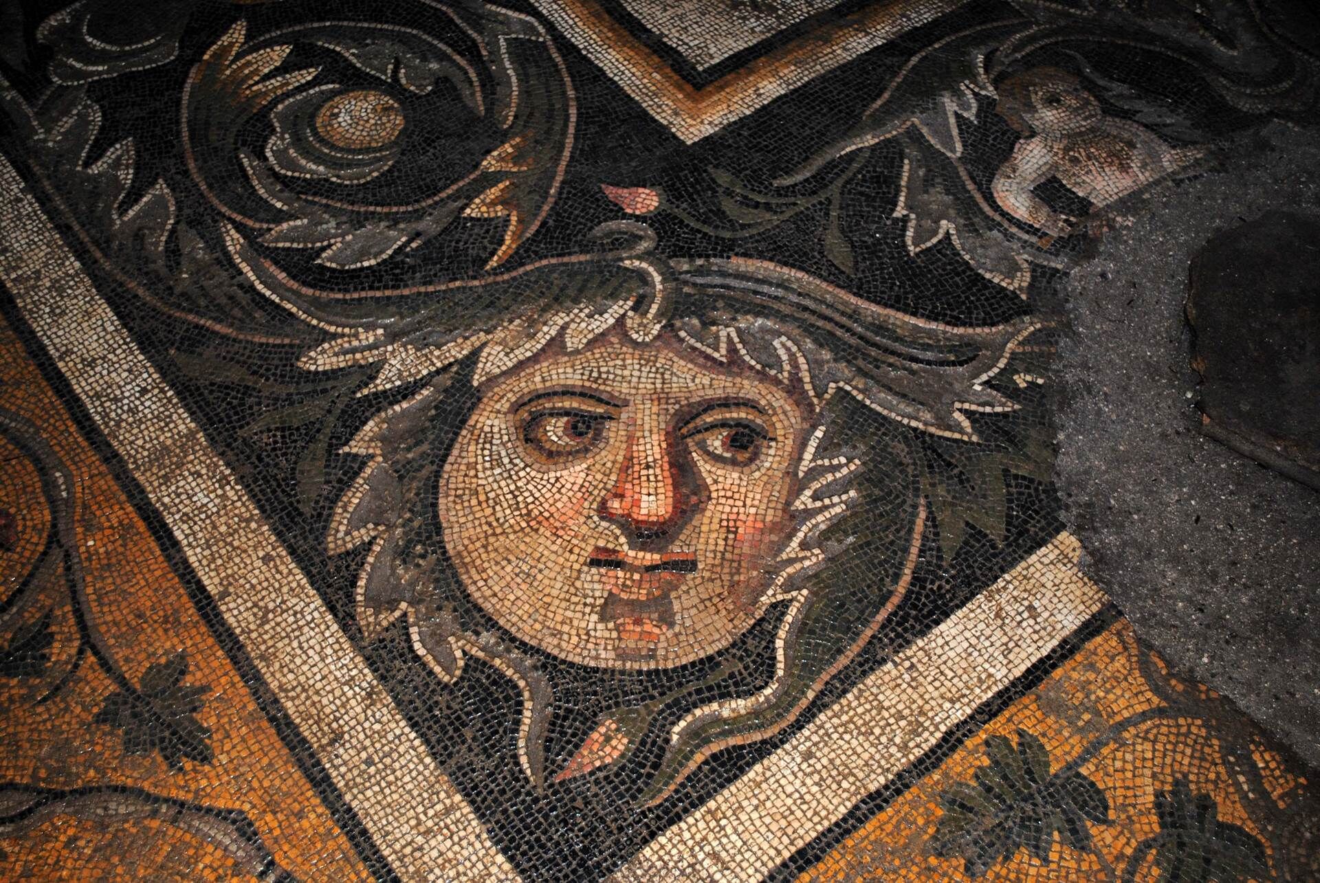 1Cb75Ec9 6864 4Bad A18A 0F3Ec4B32D17