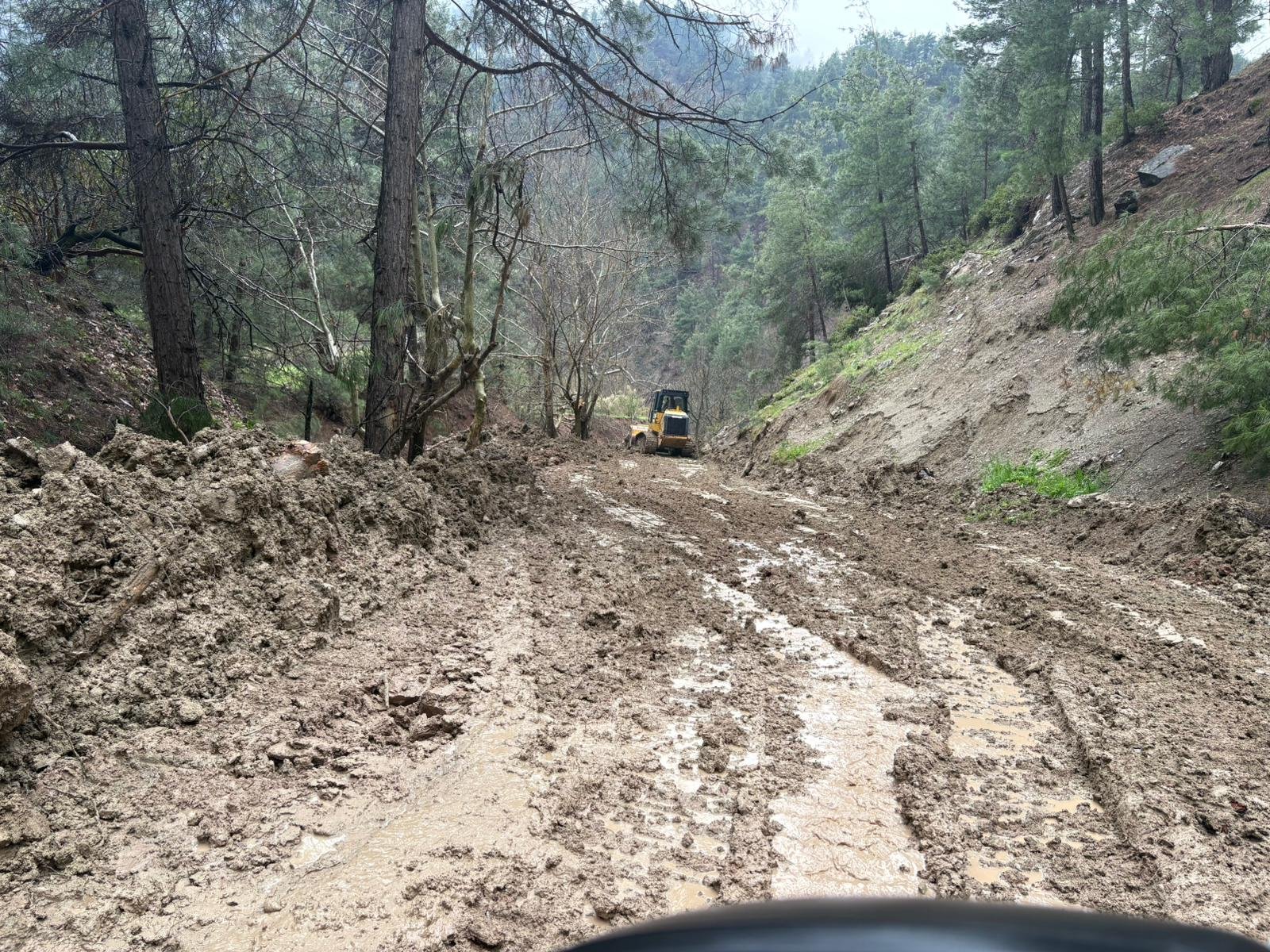 5E56A169 4D70 415E 9C32 F92B34405Bae