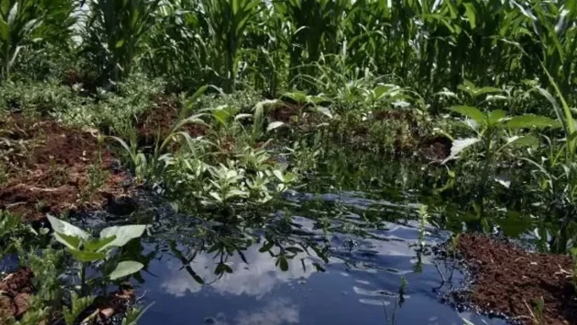 Dicle Universitesinin Kampusunde Petrol Bulundu 6666666666 (2)