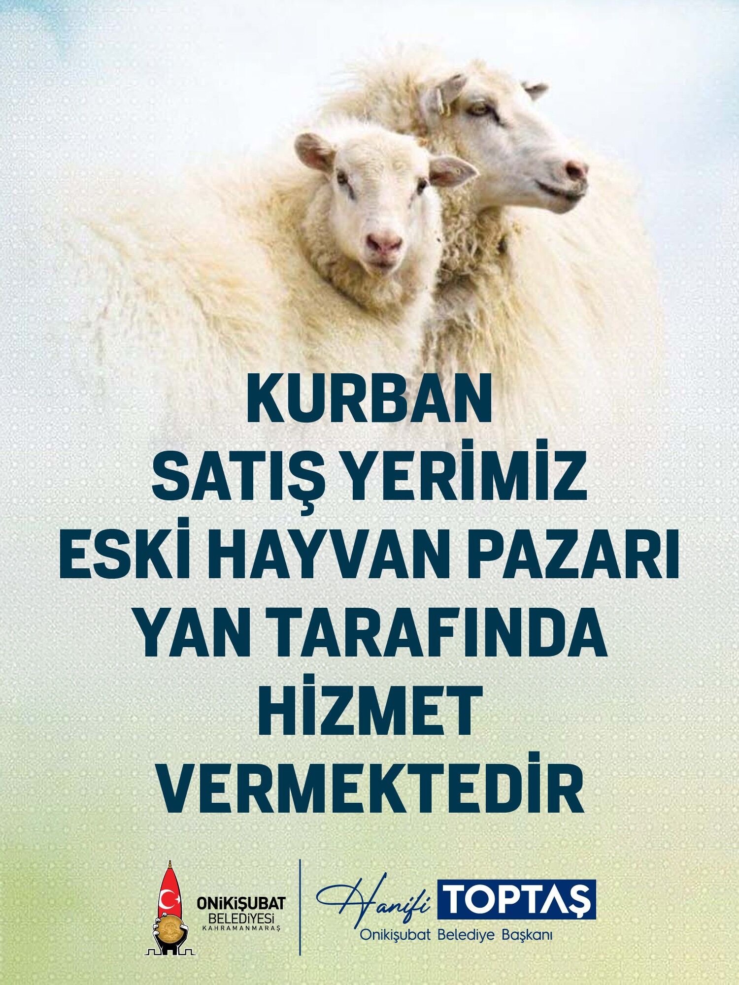 8A6093Fe 0D39 49D7 892F 487C60B9Faf8