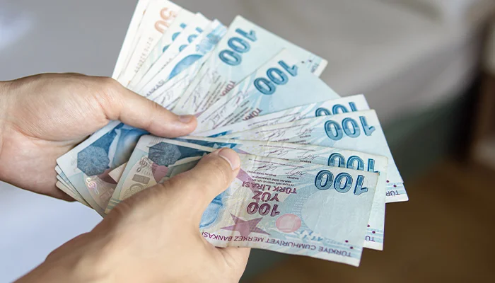Yatirimci Sozlugu Para Arzi