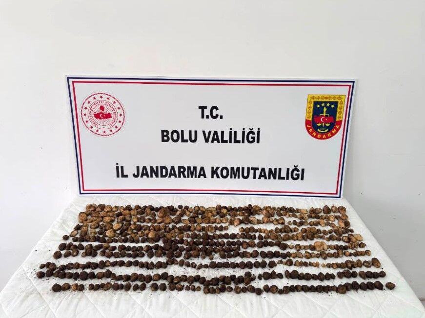 Bolucat (3)