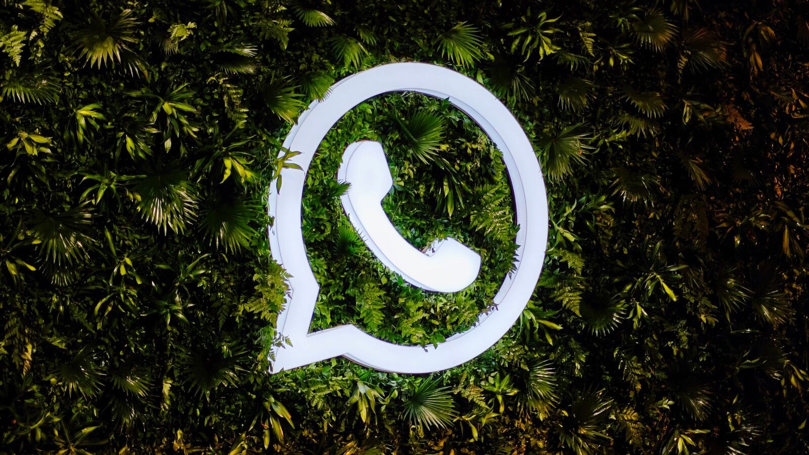 Whatsapp Kullanici Adi Alma
